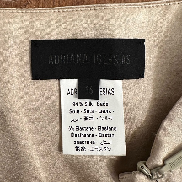 Adriana Iglesias Beige or Nude Belle Button Front Silk Midi Skirt Sz 36 or XS/S - Picture 8 of 11